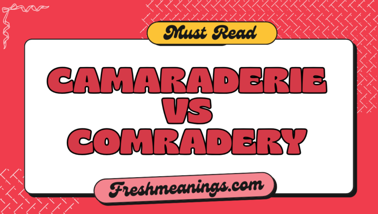 camaraderie vs comradery: Which Spelling Is Correct? camaraderie vs comradery